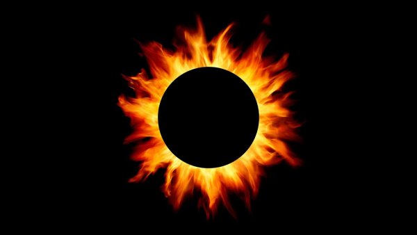 Огненная львица