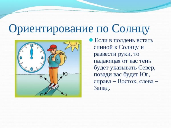 Стороны горизонта ориентирование