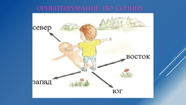 Как ориентироваться по солнцу