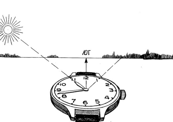 Ориентирование по солнцу ОБЖ