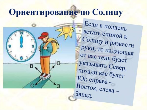 Определение сторон света по солнцу