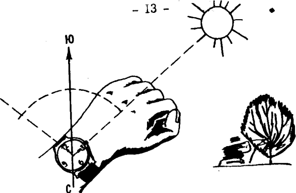 Ориентирование на местности
