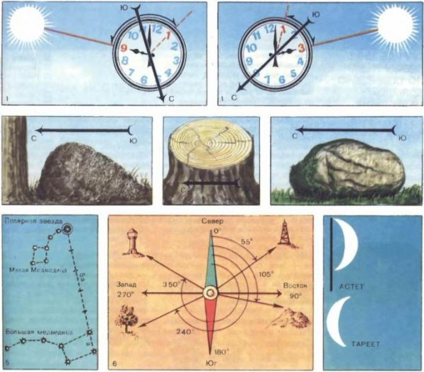 Стороны света по солнцу