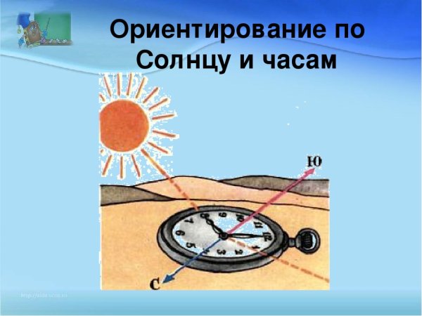 Если в полдень стать спиной к солнцу