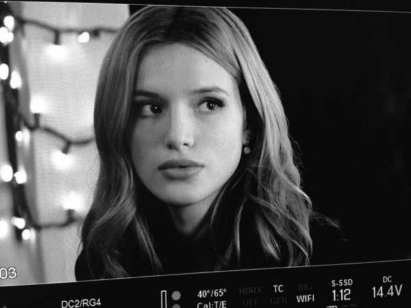 Белла Торн Полуночное солнце