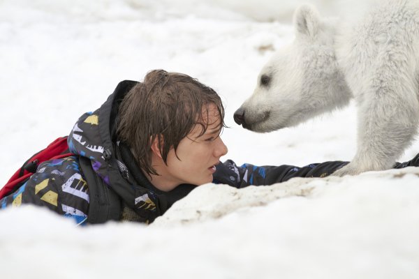 Полуночное солнце читать