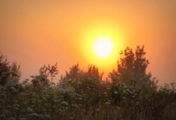 Солнечный день