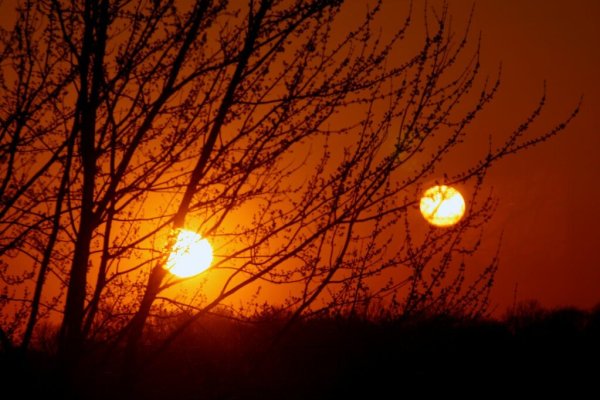 Шелиак бета Лиры