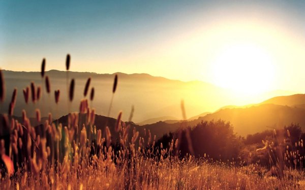 Природа солнце