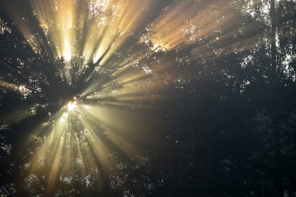 Солнечные лучи