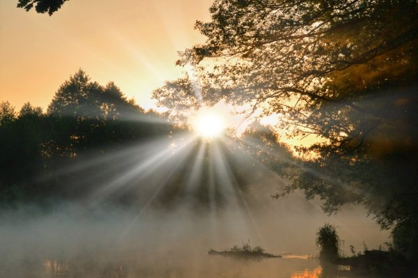 Солнце в тумане