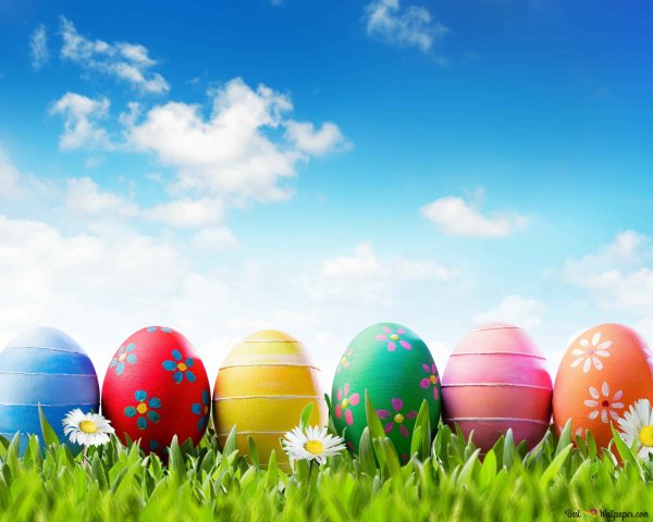 Пасха солнце Весна