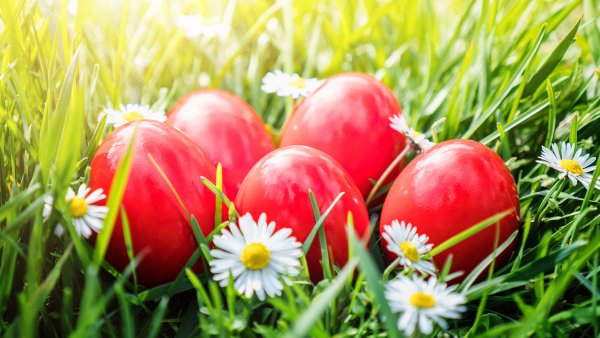 Красные пасхальныеяйцы