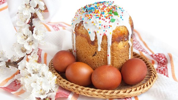 Нарцисс пасхальное чудо