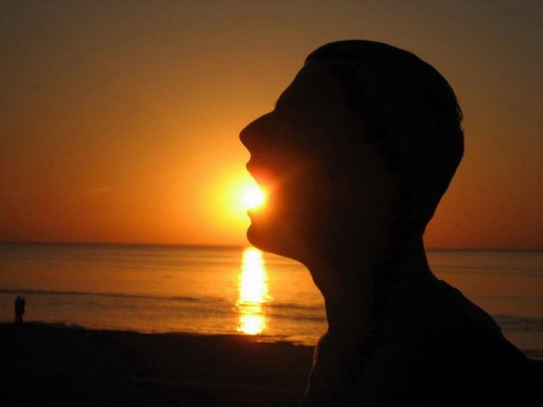 Крокодил солнце в небе