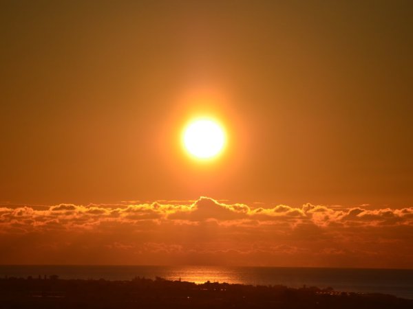 Анимашки крокодил