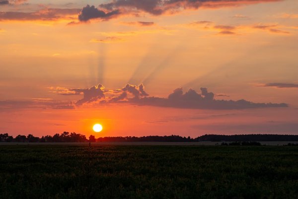 Снимки солнца