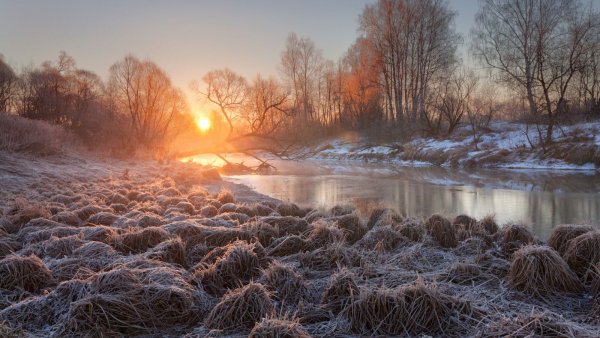 Апрельское утро в лесу