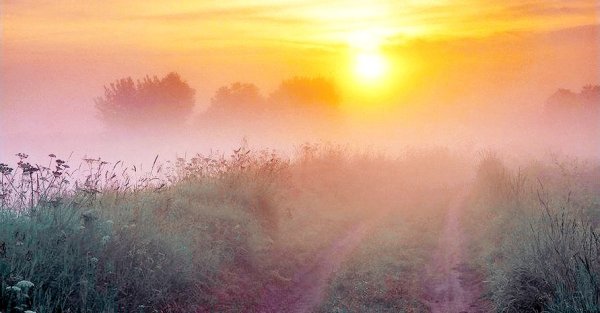 Солнечные лучи на землю