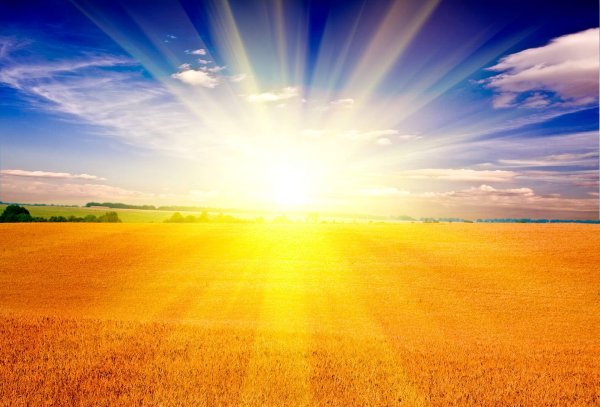 Свет и сила Бог Ярило