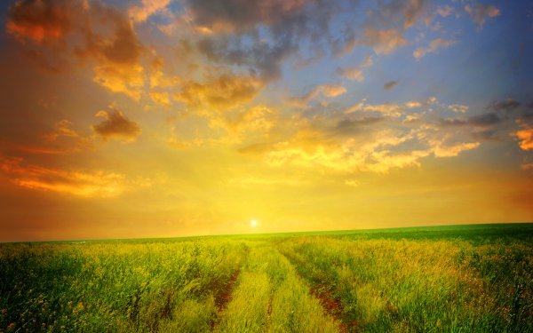 Рисование восхода солнца