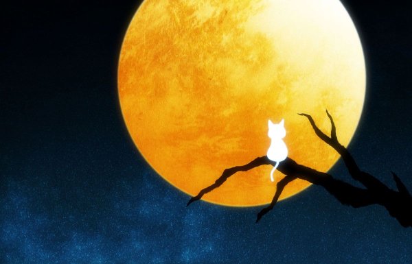 Постер на фоне Луны и солнца