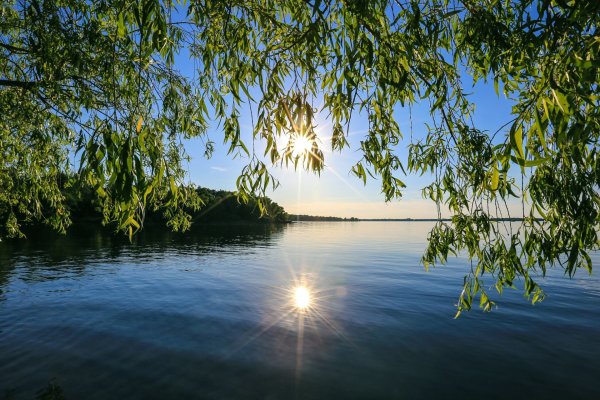 Природа закат