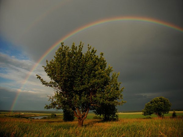 Природа лето Радуга