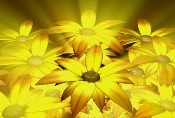 Тепла солнышка и отличного настроения