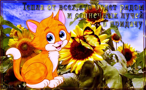 Ярких эмоций и хорошего настроения