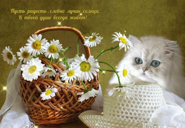 Пусть день дарит тепло и радость