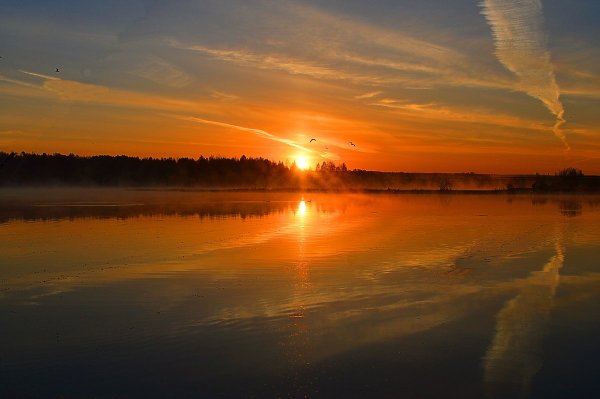 Лето река солнце