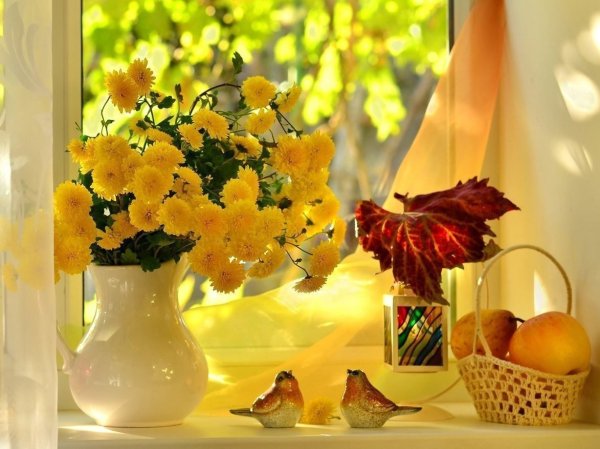 В отсутствии солнца сияйте самостоятельно