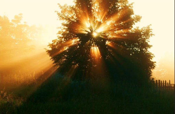 Лучезарное солнце