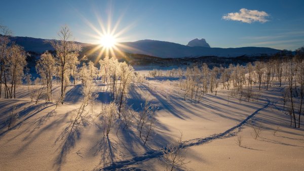 Разноцветная зима