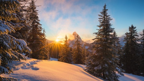 Зима солнце