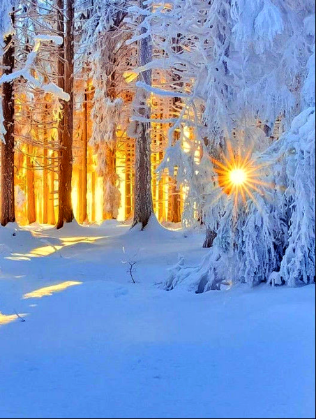 Красивые картинки с раннем утром ранней зимы