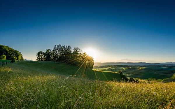 Солнце над полем