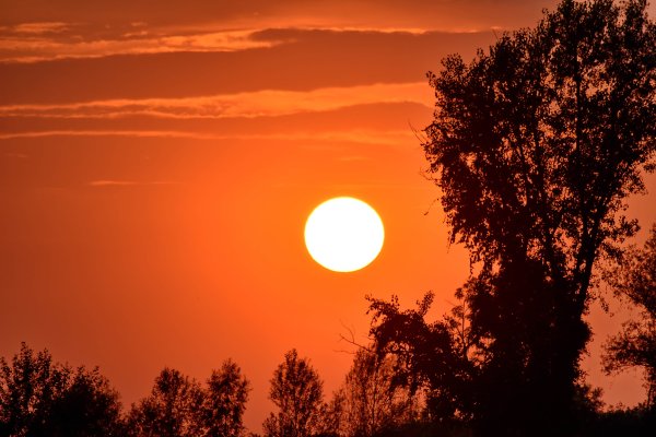 Свет и тень