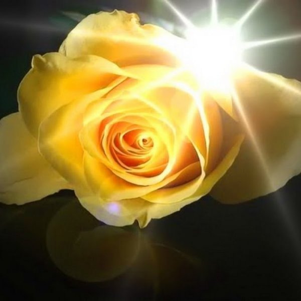 Цветы и море