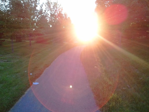 Влюбленные в солнечных лучах