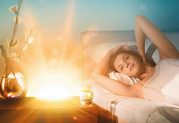 Цветы освещенные солнцем