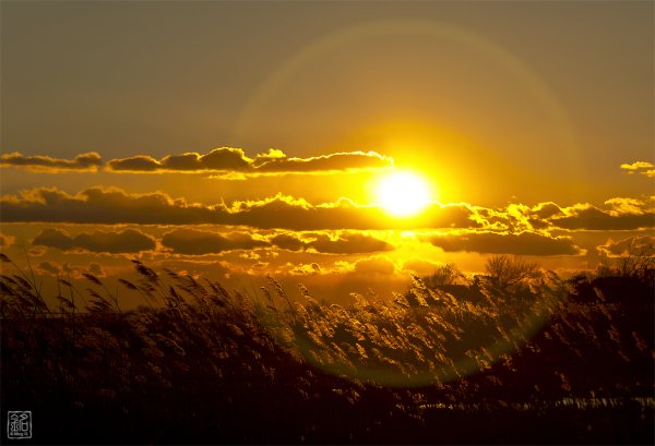 Красивое солнце
