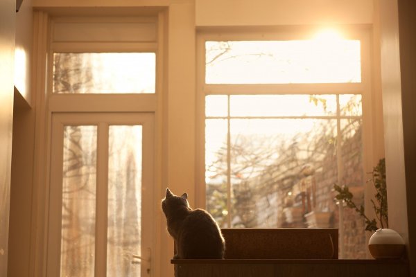 Утреннее окно