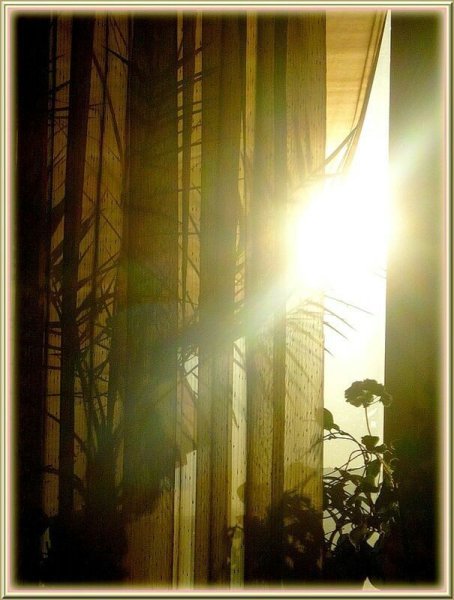 Солнечные лучи в окне