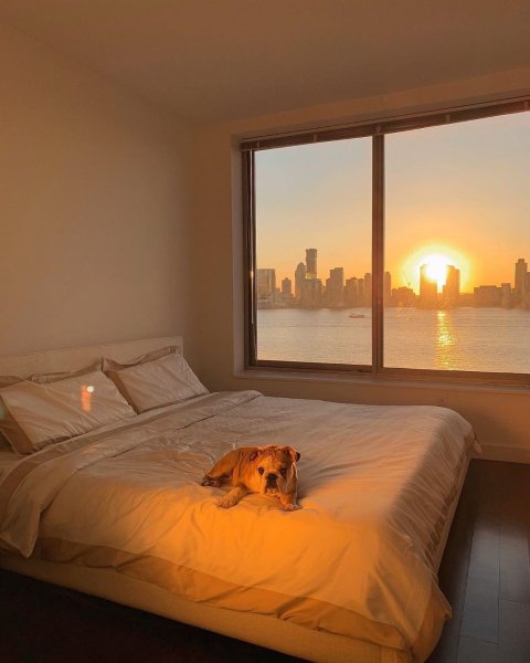 Утро в спальне