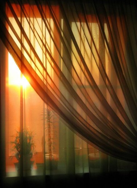 Луч солнца в окне