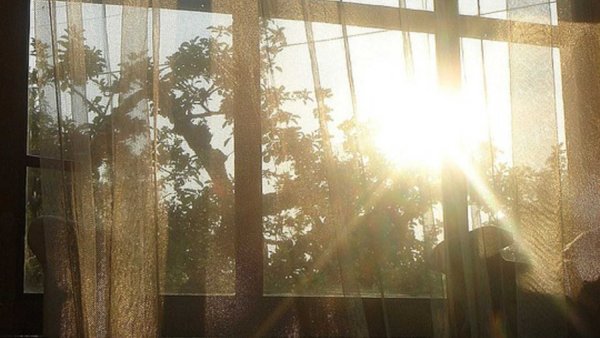 Солнечные лучи в окне