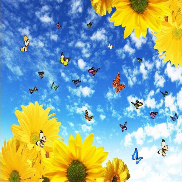 Бабочки на фоне солнца