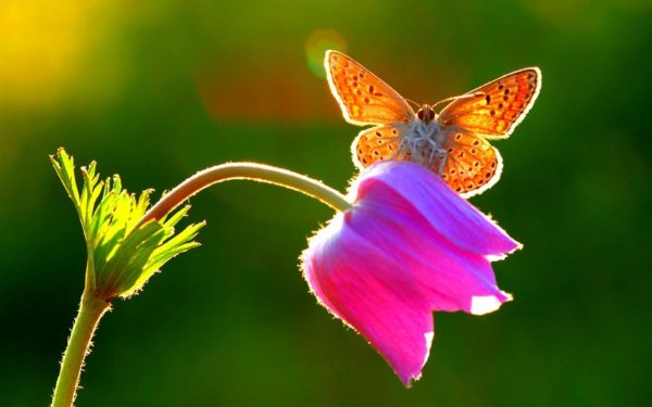 Солнечный день